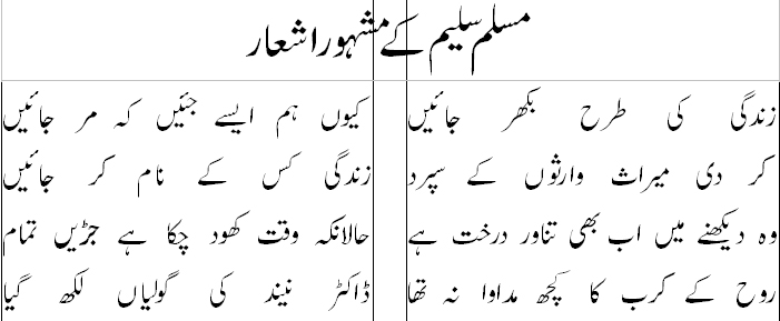 insan e kamil essay in urdu